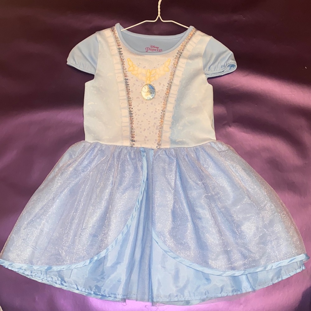 Girls Princess Dress